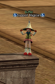 Support Magician
